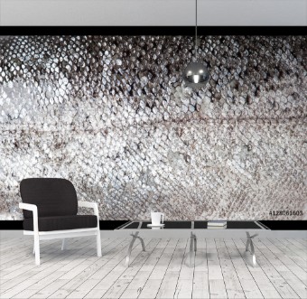 Picture of Trout fish scale